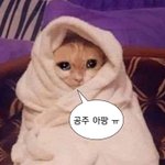 [19] 아는 언니 가끔 비키니 입은 사진