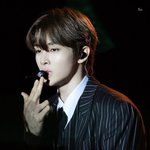 근데 라이즈는 왜