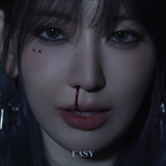 <b>사쿠라</b> 코에서 피가 나는건