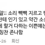 틱톡은 왤케 <b>조용</b>한 예쁜 여자한테 환상을 갖냐