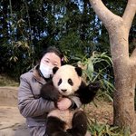 푸바오 진<b>찌</b> 귀엽지 않냐