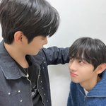 보플 <b>파생</b>배 최고의 조합