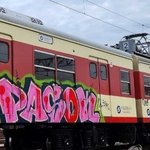 [모두드루와] 러시아인들이 지하철에 낙서하고 <b>도망</b>감 ㄷㄷ