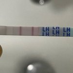 [댓글부탁해] 지금 <b>배란</b>일인가요??