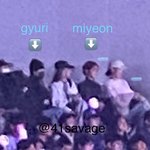 [모두드루와] 프로미스나인 <b>단콘</b> 보러온 미연 장규리