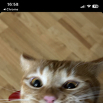<b>여고</b> 어떰?