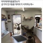 [<b>방탄소년단</b>] ㅋㅋㅋㅋㅋㅋㅋ