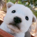 [댓글부탁해] 내가좋아하는 슴 노래들.. 취향비슷한애들 잇어❓