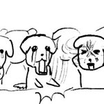 [드루와] 판 진짜 <b>화력</b> 다 사라진듯