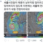 트위터는 대체 왜 <b>이럼</b>