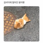 [19] 너네가 이얼굴이면 코<b>수술</b>함?
