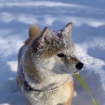 [댓글부탁해] <b>Istj</b>들아 너네기준 이거 호감임 호의임?