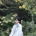 [댓글부탁해] 너희는 지브리 영화 뭐 제일 좋아함?