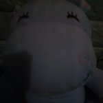 내 인형 소개함