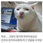 [19] [속보] 한국 <b>사우디</b> 재경기