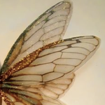 피터팬과 <b>팅커벨</b>