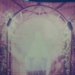 [이것좀봐줘] 사진 한장에 신부님이 될 뻔한 일...