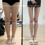 얘들아 이게 진짜 뚱뚱한거야?