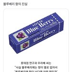 딸기맛은 진짜 딸기랑 왜 이렇게 달라