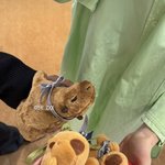 제니 회사에 <b>카피바라</b> 인형뽑깈ㅋㅋㅋㅋㅋㅋㅋ