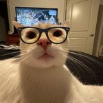 알바하는 <b>익들</b> 있냐??? 들와봐