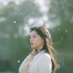 <b>봄봄</b>봄 벚꽃엔딩  추반해바