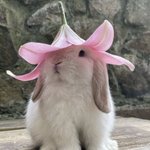 여름꽃