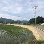 우리<b>동네</b> 여름픙경 볼사람
