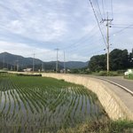 시골 <b>여름풍경</b> 더가지고왔엉