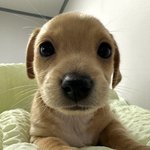 열품타 나만 <b>오류남</b>?