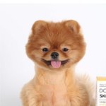 이거 <b>강쥐</b> 사진 너무한거 아님?ㅋㅋ