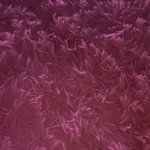 [도와주세요] 털 <b>러그</b> 세탁방법 매우 급함 제발 제발지발제발!!...