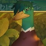 아... <b>황희찬</b> 볼 때마다 얘밖에 안보여서