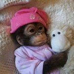 나만큼 눈이랑 <b>눈썹</b> 사이 좁은 사람 있냐