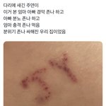 틋터 ㄷㅂㅇㅈㅇㅈㅇ네임드 정병 좀 찾아<b>주</b><b>셈</b>