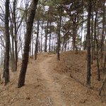 무서운게 있는산. <b>심신</b>미약자 클릭금지