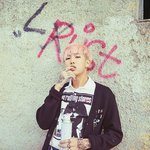 방탄 알엠 화양연화 <b>pt</b>.2 컨셉포토