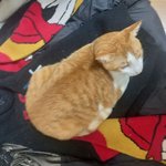 [꼭조언부탁] 24살이 자꾸 괴롶혀요