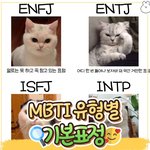 <b>mbti</b>유형별 기본 표정