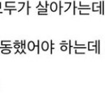 미<b>노이</b> 범법행위 저지른 거임?