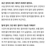 윈터 보니 <b>탈색</b> ㄹㅇ하면안되는듯