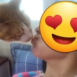 나의 동거묘 도칠이 24년 2월 설날전 <b>일상들</b>...