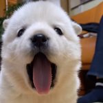 내 친구 5등급인데 <b>연대</b> 약대감…