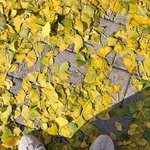 [드루와] 목표가 생기고 꿈이 생기니까 뭔가 인생이 <b>활발</b>?해짐