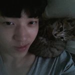 얼굴형 제일 부러운 사람
