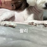 [라이즈] <b>찰리</b> 귀여워