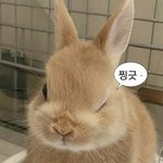 [댓글부탁해] 설레는 썰 하나씩 풀고 가!!