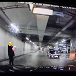 [이것좀봐줘] 지하주차장에서 목줄없이 <b>산책</b>시키는 여자