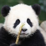 [드루와] 환승연애 <b>동진</b>도 남자는 남자구나