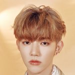 제<b>베원</b> 일본 싱글 컨셉포토
